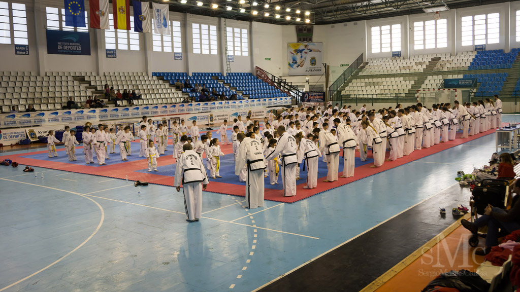 DIA DEL TAEKWONDO ABRIL 2017_4043.JPG
